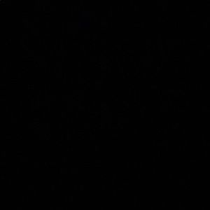 Meet your Posher, Mallory